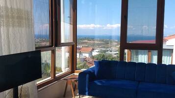 TV connectée, cheminée