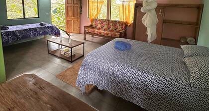 Nature Immersion BnB