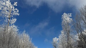 A snow-covered forest path with trees on both sides. - Cozy, newly renovated vacation apartment "Merlin" in the heart of the Taunus! (Weilrod)