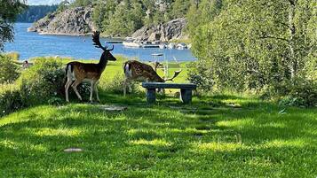 Ett grönområde med två rådjur och en bänk nära ett vattendrag.