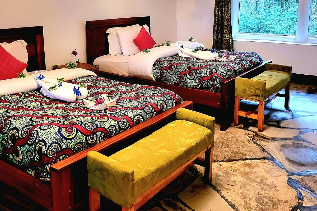 Twin Room, Mountain View | Extra beds