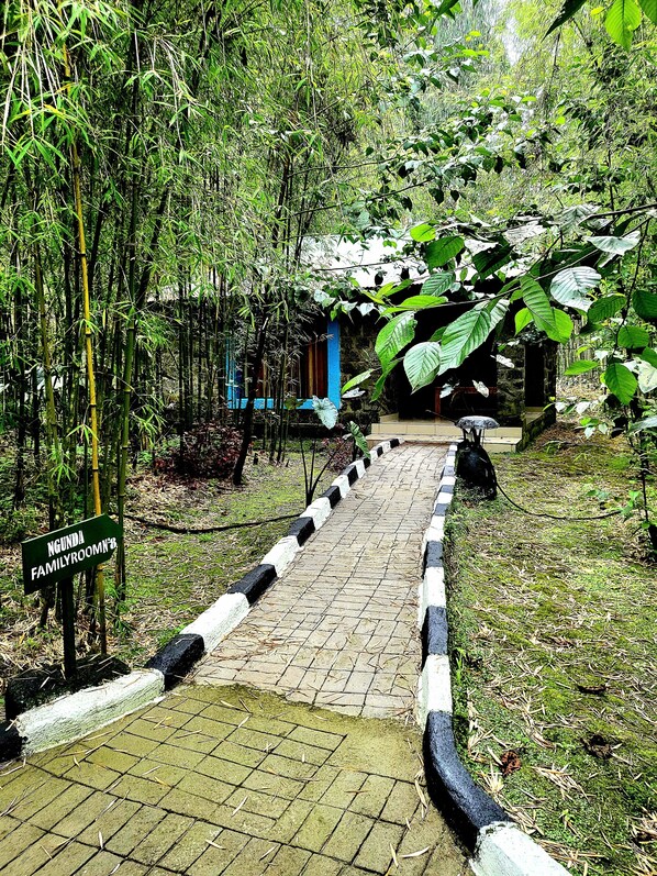 Hiên