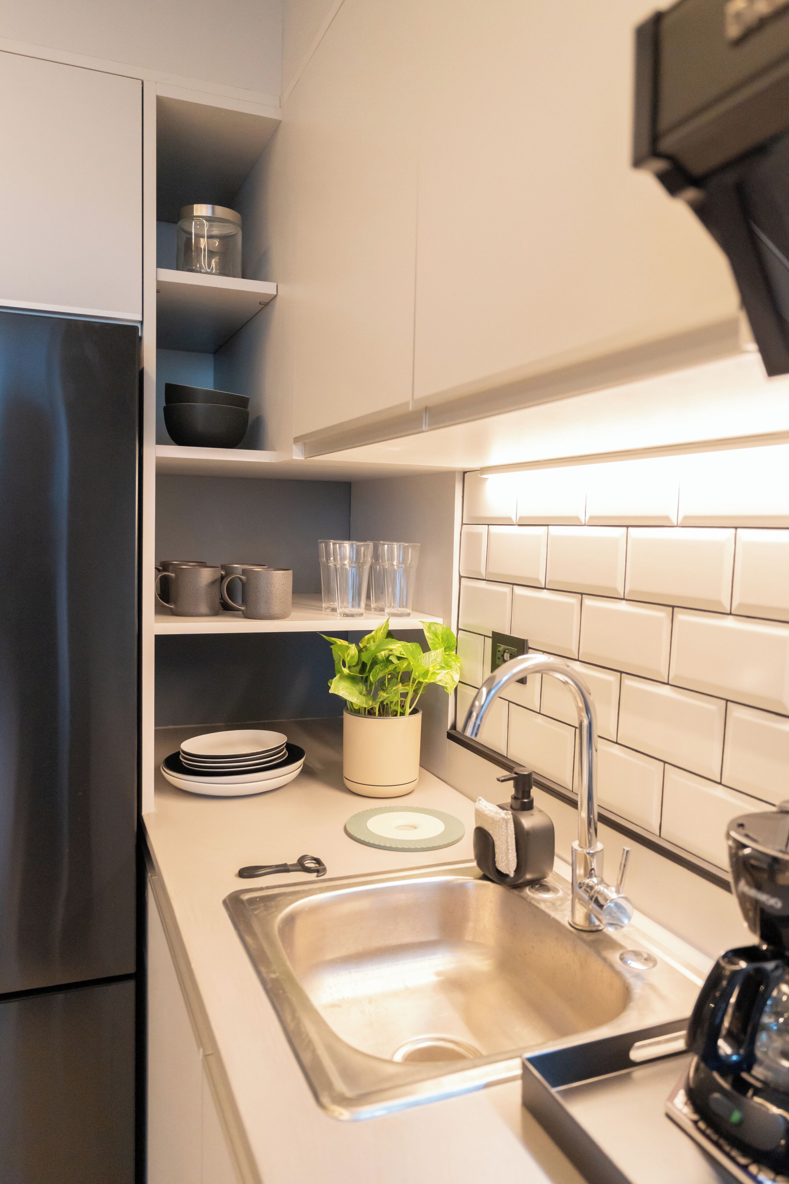 Una cucina moderna con lavello in acciaio inossidabile, macchina per il caffè e una pianta in vaso.
