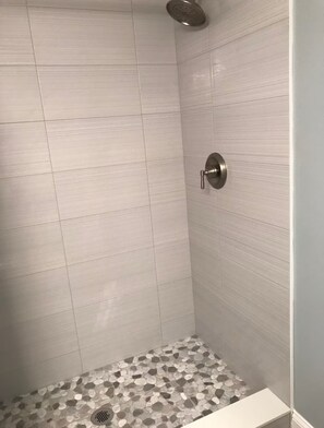 Shower, hair dryer, towels, soap - 3-bedroom house in peaceful Tarpon Springs with AC (Tarpon Springs)