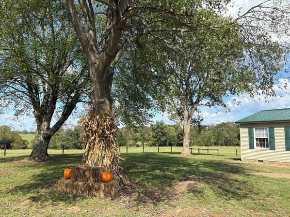 المنطقة المحيطة بالمنشأة