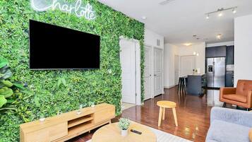 Televisión y chimenea