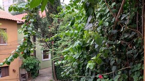 A narrow alleyway with a green mat, a metal railing, and dense foliage including a vine with red flowers.