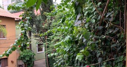 Oscar Freire Condominium 6