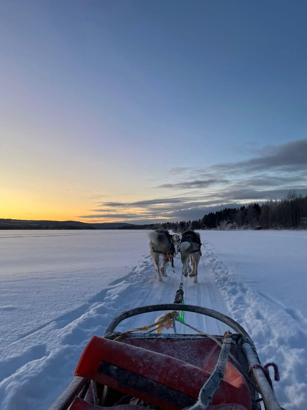 A sled being pulled by huskies on a frozen lake at sunset.