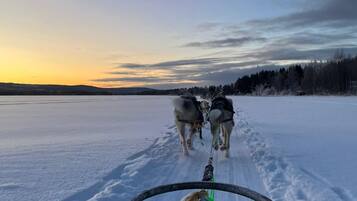 A sled being pulled by huskies on a frozen lake at sunset.