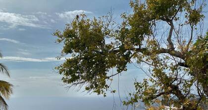 Native Villa with Pool at Kalumo Lodge