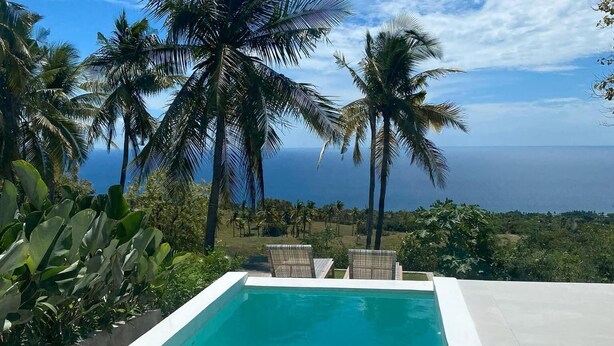 A rectangular pool with a clear blue water, surrounded by white poolside, with palm trees and a view of the ocean.