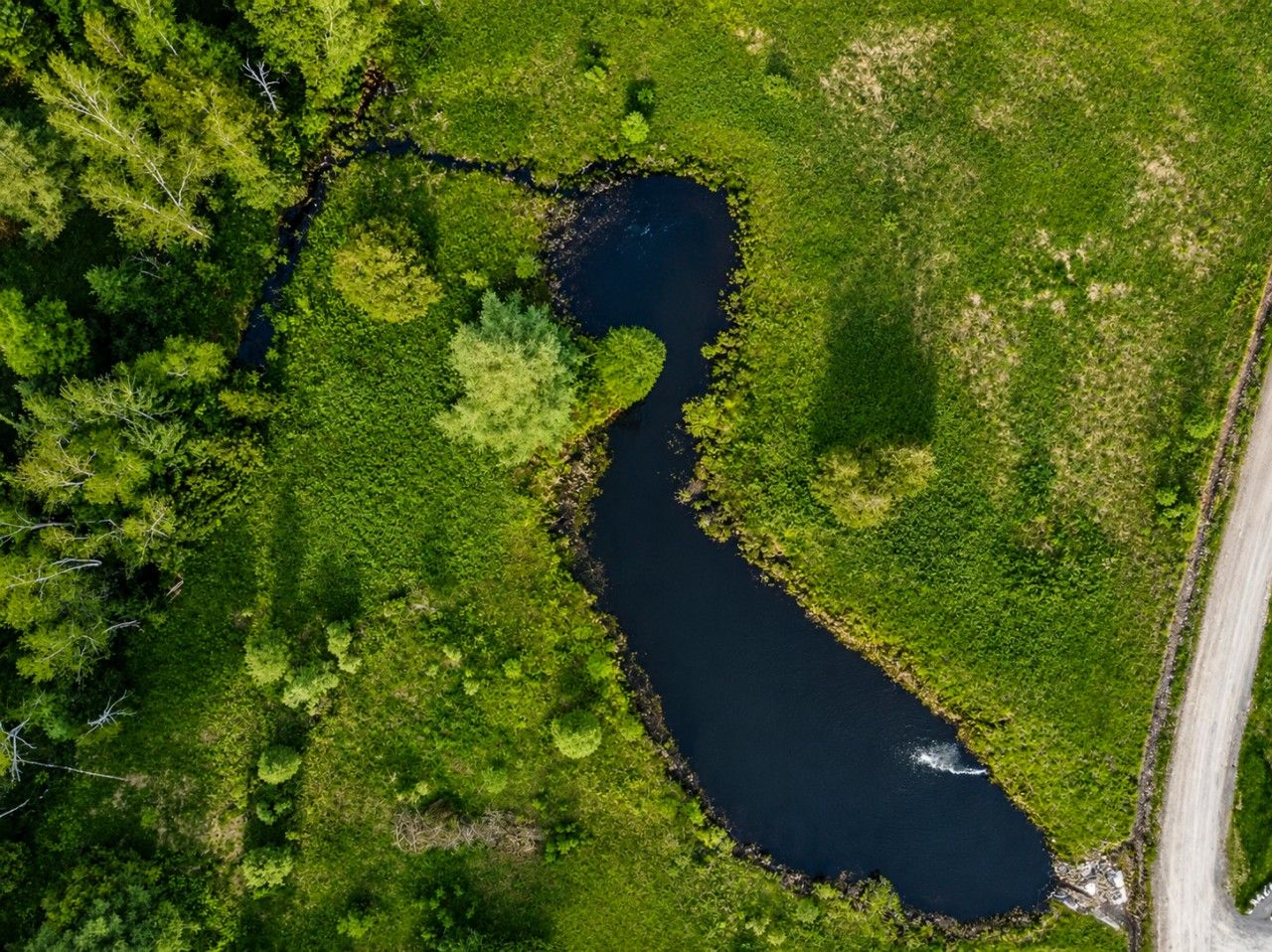 Vista aérea de un río serpenteando por un paisaje verde con una carretera a la derecha.