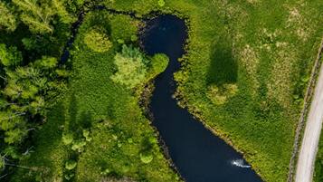 Vista aérea de un río serpenteando por un paisaje verde con una carretera a la derecha.