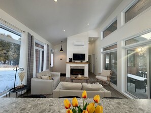 TV, fireplace