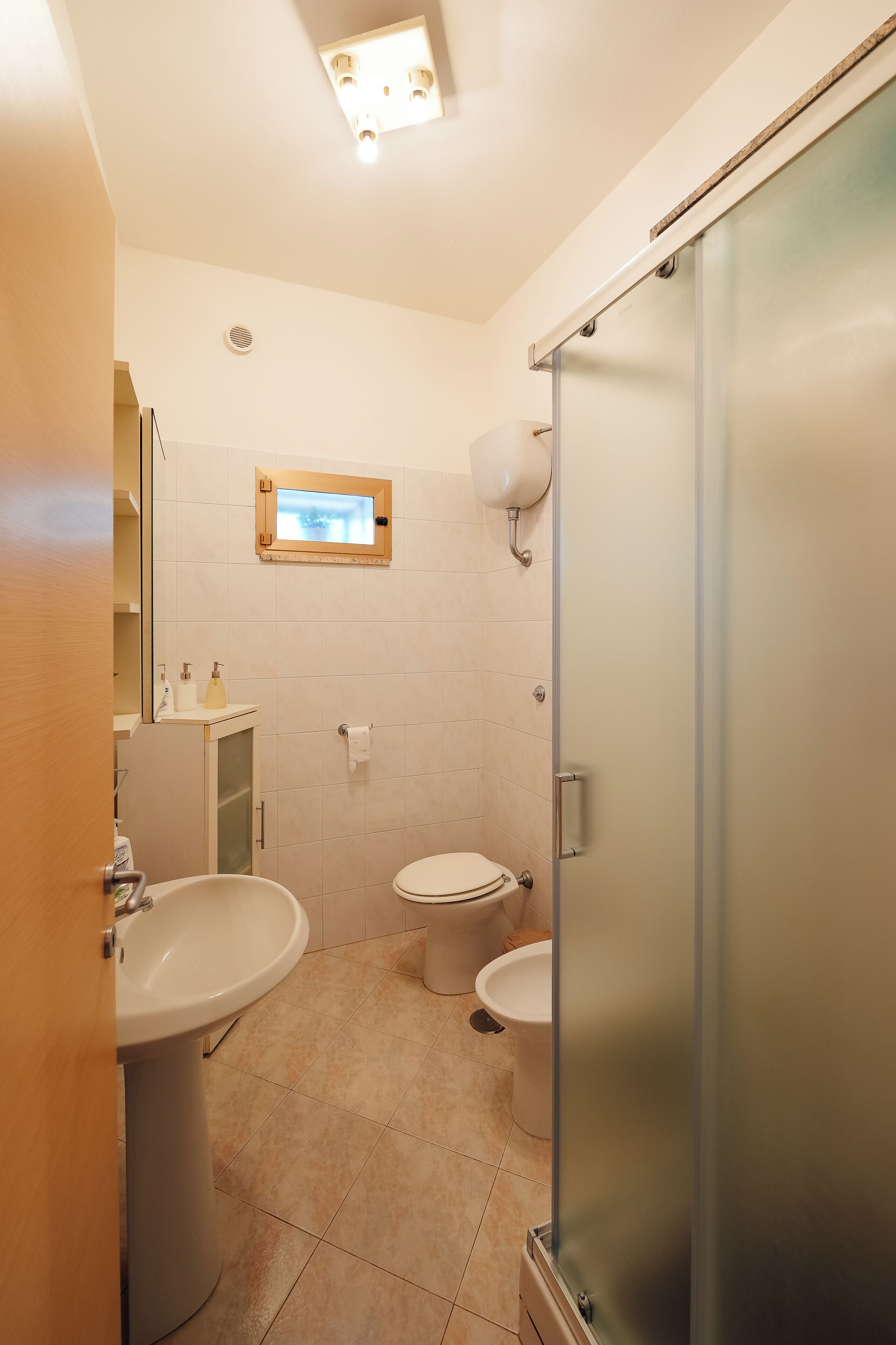 Hair dryer, towels, toilet paper