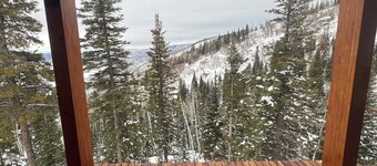 Stunning Mountaintop Retreat offers Guest Suite Lodging with Spectacular views!