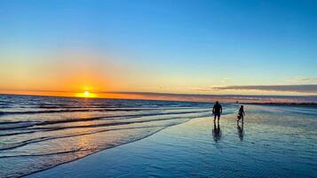 Nálægt ströndinni