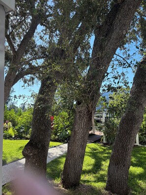 Overnattingsstedets uteområder