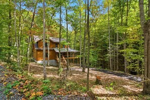 A wooden cabin surrounded by a dense forest. - Jones Creek Cove | Private Hot Tub (Sevierville)
