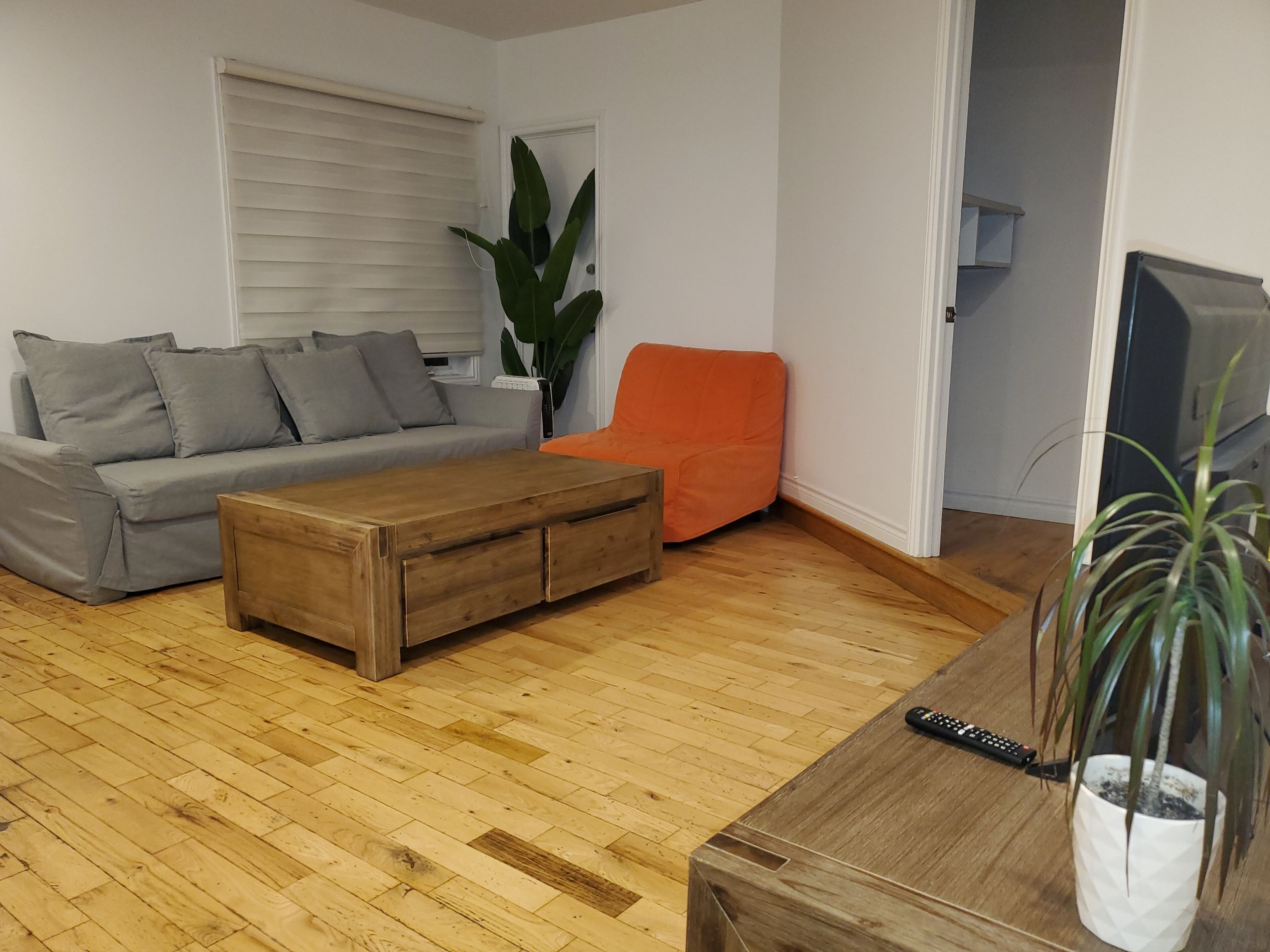 A living room with a grey sofa, an orange armchair, a wooden coffee table, and a potted plant.
