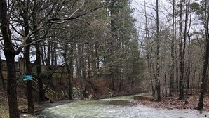 Ein Fluss fließt durch ein bewaldetes Gebiet, mit einem Holzzaun und einem Schild mit der Aufschrift 'Cedar Creek'.