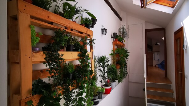 A narrow hallway with wooden shelves and potted plants, a skylight, and a staircase leading to another room. - THE ROOFTOP LOFT entire apartment in the center of Milan in Porta Venezia (Milano)