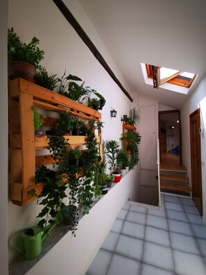 Un couloir étroit avec des étagères en bois et des plantes en pot, une lucarne et un escalier menant à une autre pièce.
