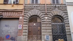 A building facade with a closed shutter, a metal gate, and a potted plant.
