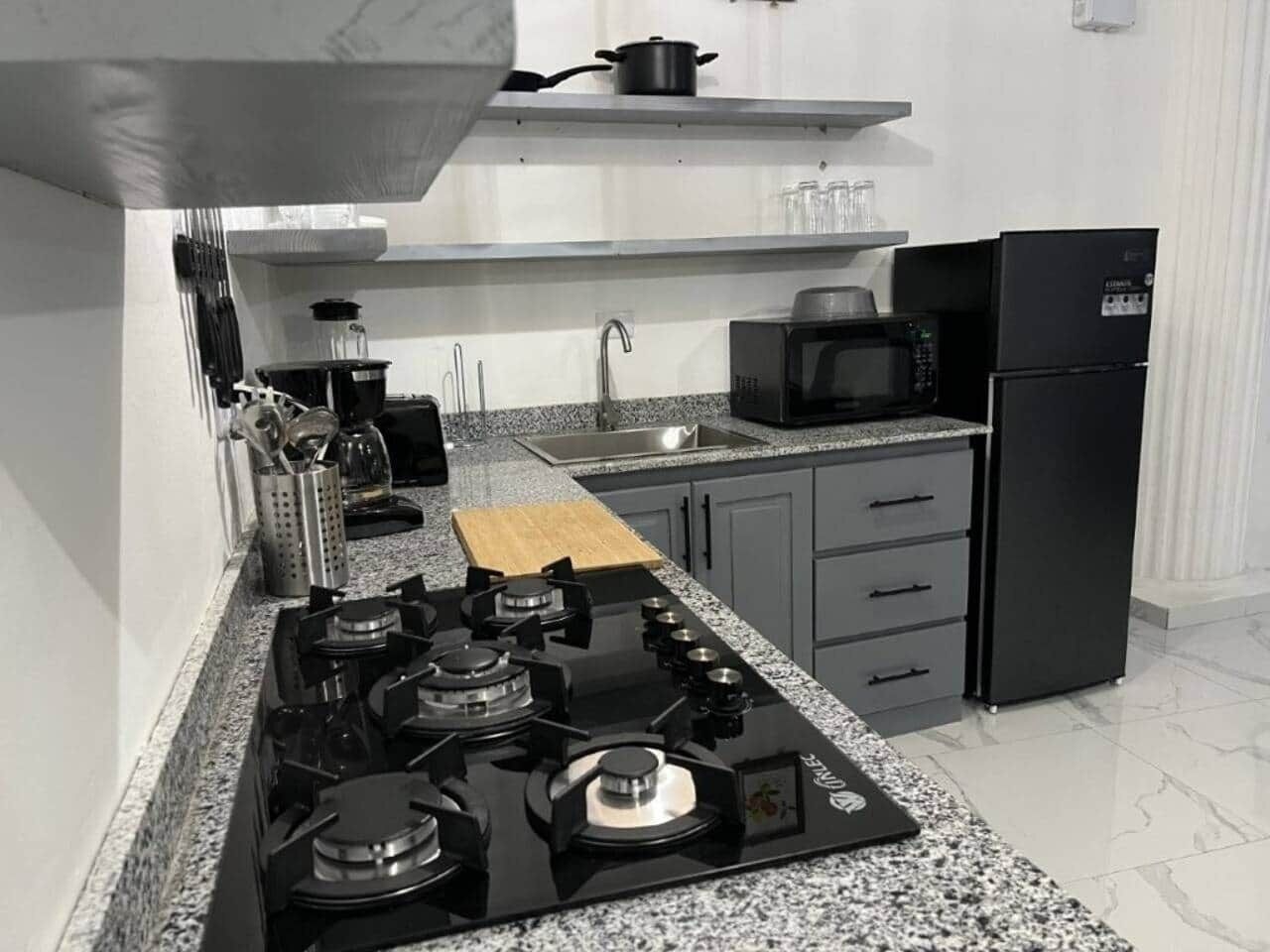 Une cuisine moderne équipée d’une cuisinière à gaz, d’un four à micro-ondes, d’un réfrigérateur et de plans de travail en granit.