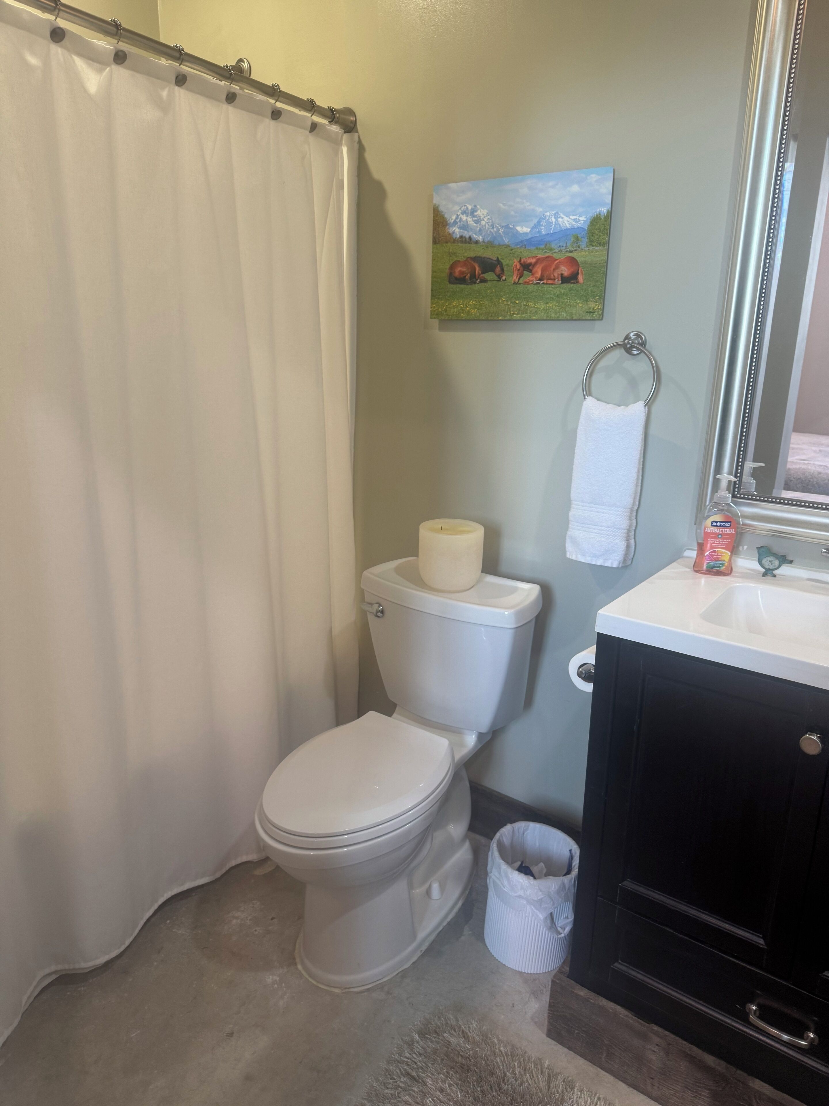 Un baño con inodoro, lavamanos, espejo, toallero y un cuadro en la pared.