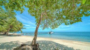 A beach with a wooden pier extending into the sea, palm trees, and a clear blue sky.