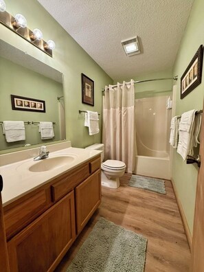 Hair dryer, towels, soap, toilet paper