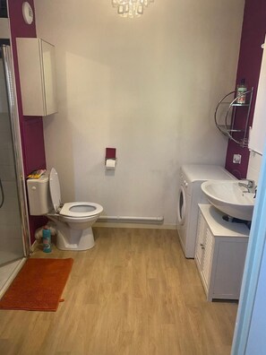 Shower, towels, soap, toilet paper