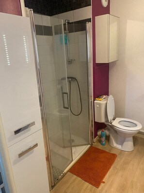 Ducha, toallas, jabón, papel higiénico