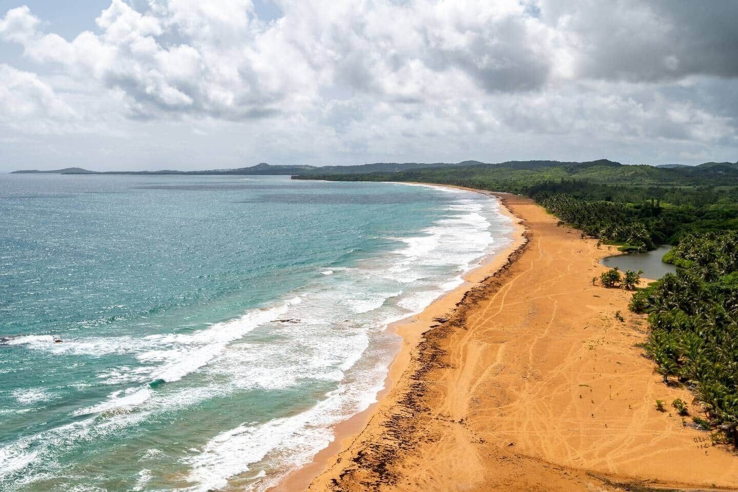 A beach with clear turquoise water, a sandy shore, and a line of trees.
