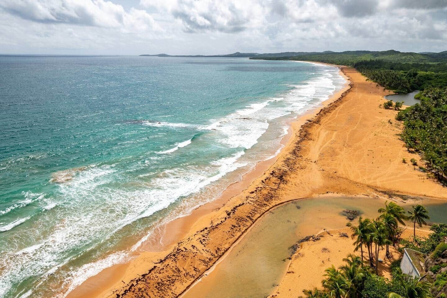 Eine Küstenlandschaft mit Sandstrand, freiem Blick auf den Ozean und einer Baumreihe.