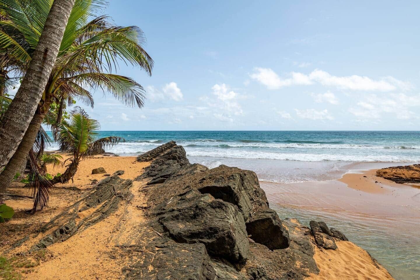 Une plage avec des affleurements rocheux, des palmiers et l’océan.