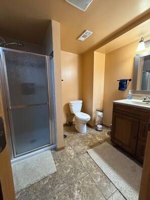 A bathroom with a walk-in shower, toilet, and vanity. - Par-fect Escape on Lake Windsor Golf Course (Windsor)