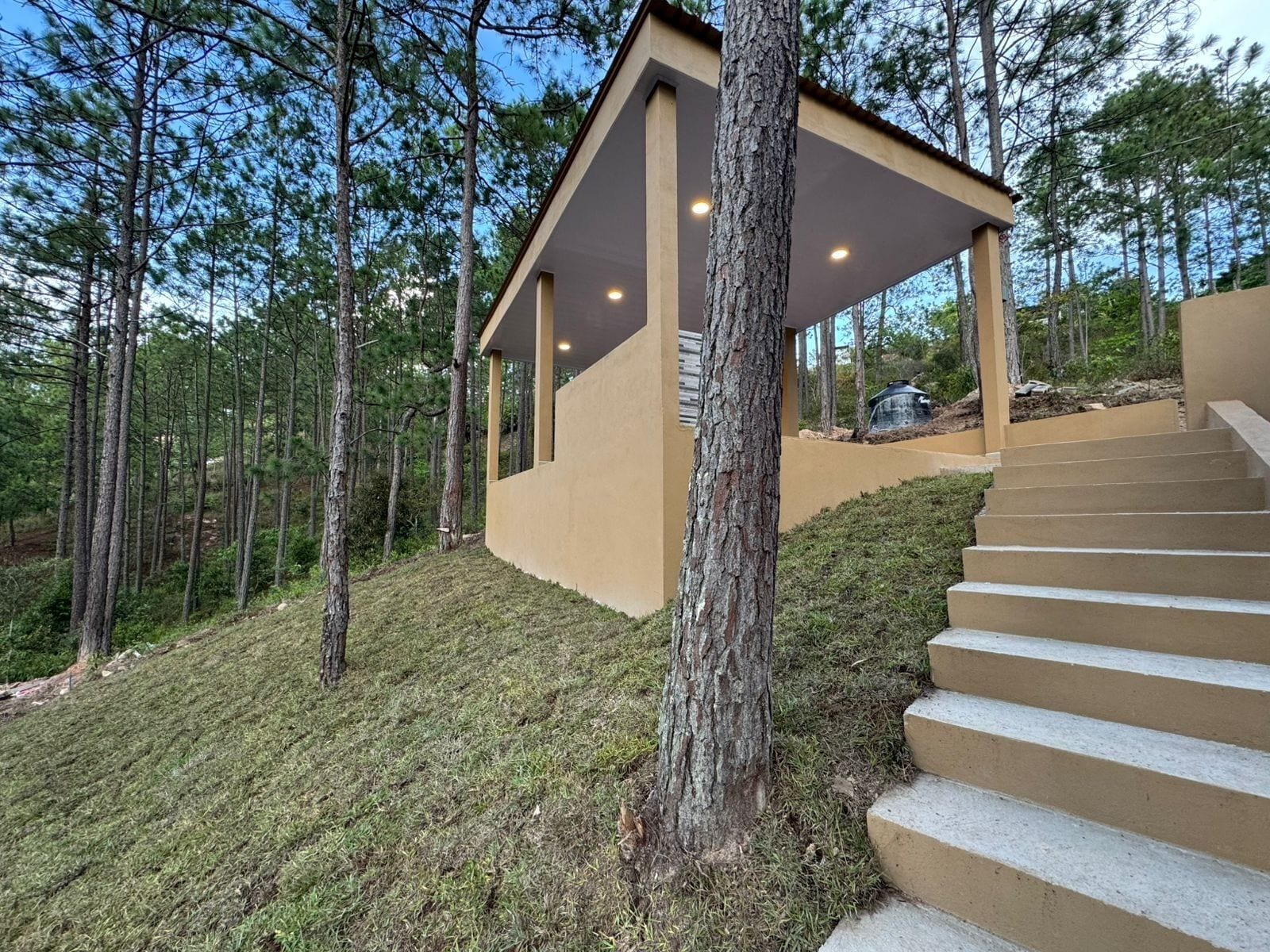 Um edifício moderno com telhado plano, cercado por altas árvores de pinheiro.