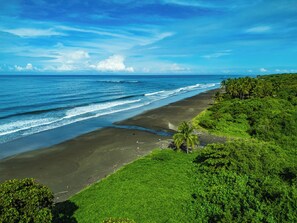 Ein Strand mit freiem Blick auf den Ozean und einer Reihe von Palmen.
