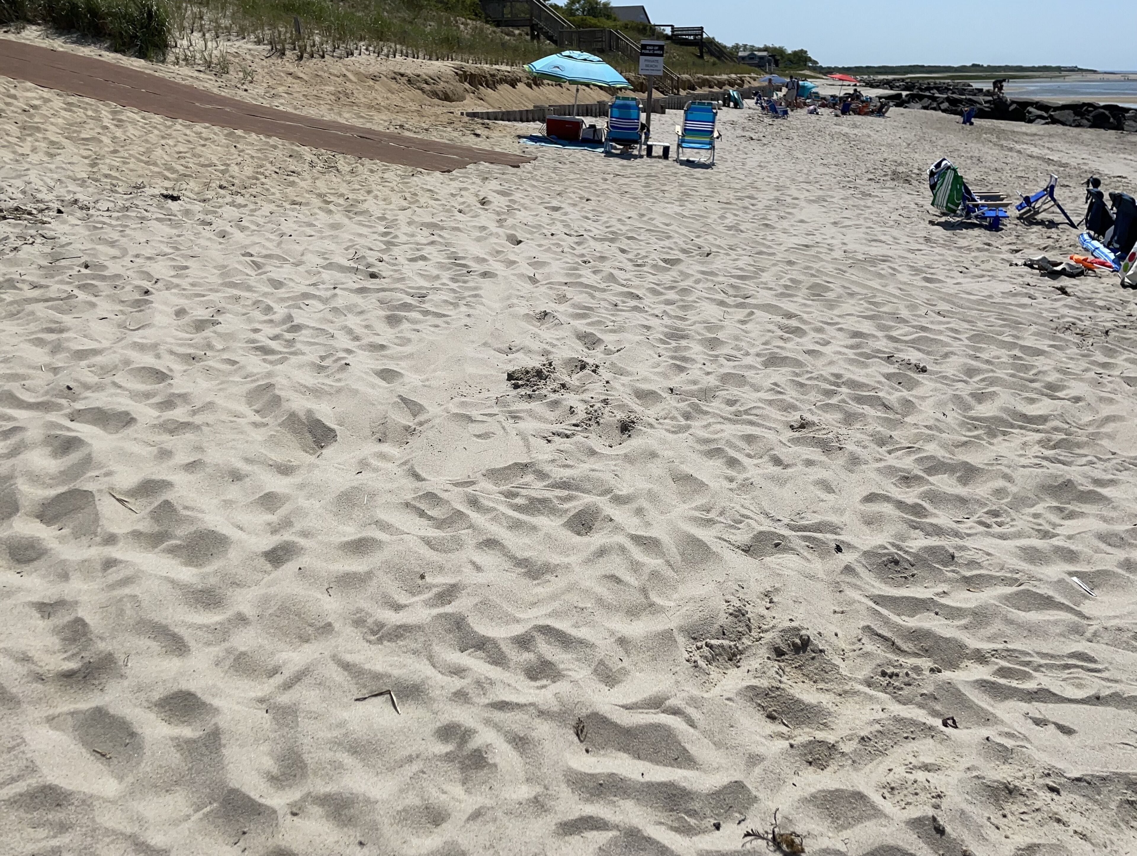 Sun-loungers, beach towels