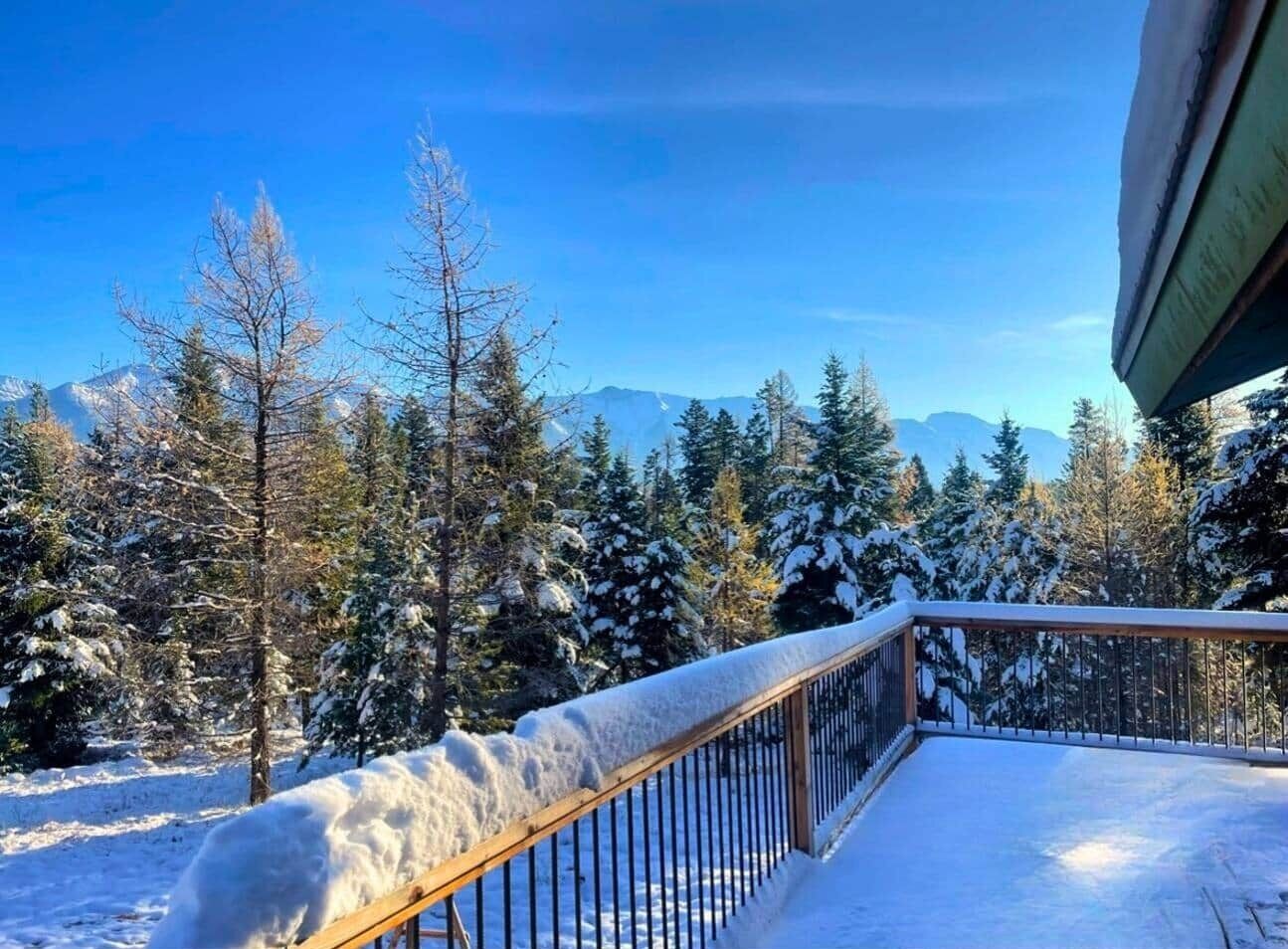 Terrain de l’hébergement 
