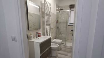 Shower, hair dryer, bidet, towels