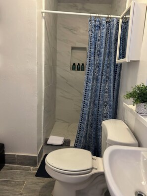 Shower, towels, soap, toilet paper