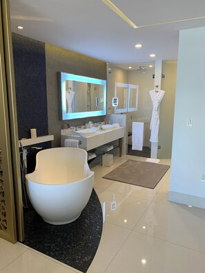 Shower, hair dryer, bidet, towels