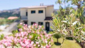 A two-story building with a flat roof and a small balcony. - Holiday apartment with shared-use pool (Jurandvor)