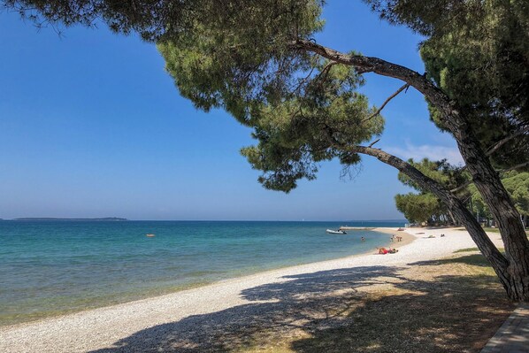 A beach with clear water, a sandy shore, and trees.