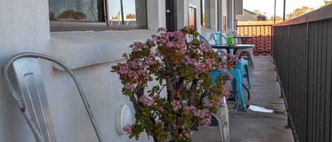 Habitación familiar | Terraza o patio