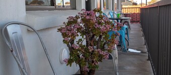 桑兹汽车旅馆温特沃斯  